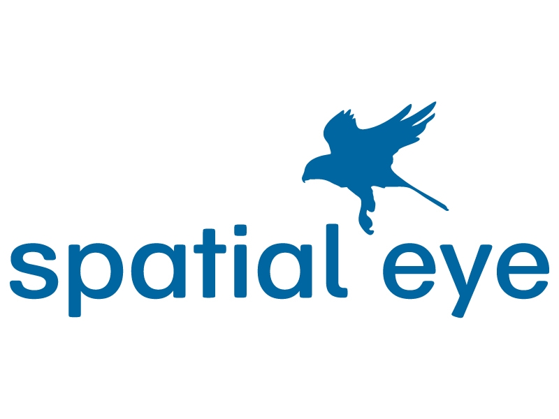 spatial eye logo